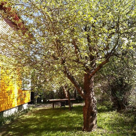 Renovated Semi- Basement 2 Bedrooms Furnished Apartment - Close To Everything In Moss Bagian luar foto