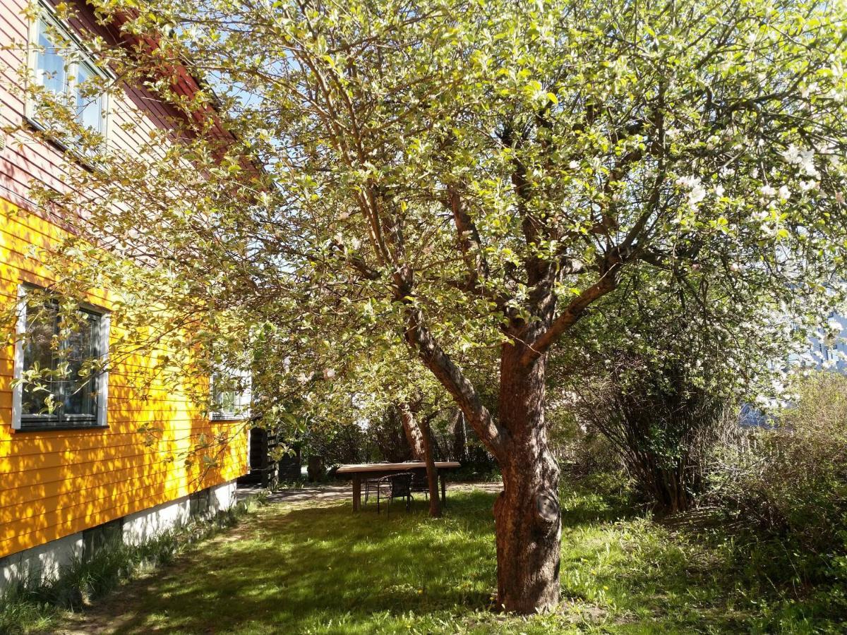 Renovated Semi- Basement 2 Bedrooms Furnished Apartment - Close To Everything In Moss Bagian luar foto